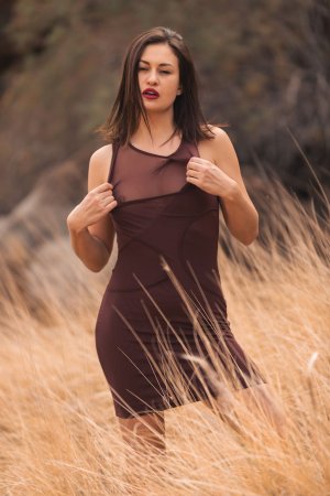 Demi Fray bares all in golden grass, bending nude under sun, every curve on display for your eyes — Demi Fray #1